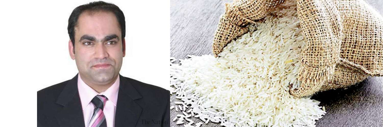 Rice exporters to provide conducive working environment for agri- children - Inside Financial Markets