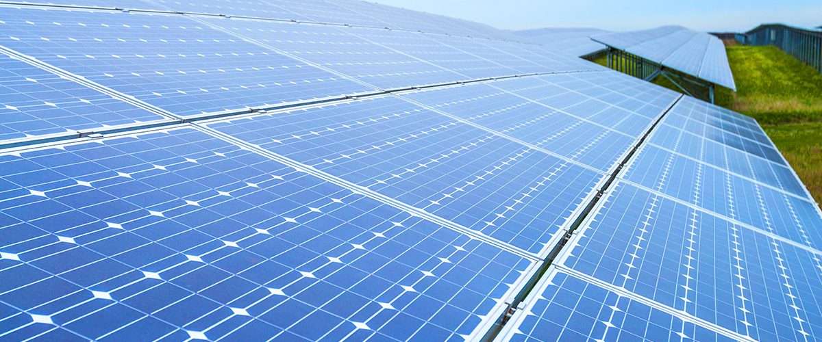 FrieslandCampina to set up solar park on 15 acres of land - Inside Financial Markets